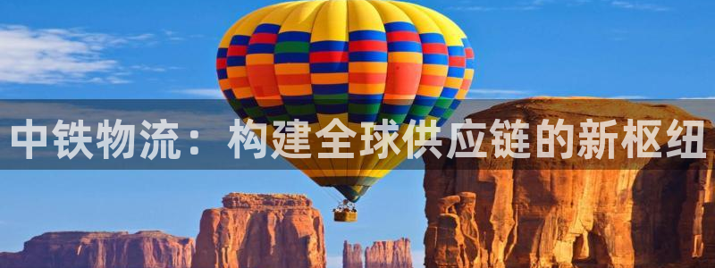 旺财28aPP退款：中铁物流：构建全