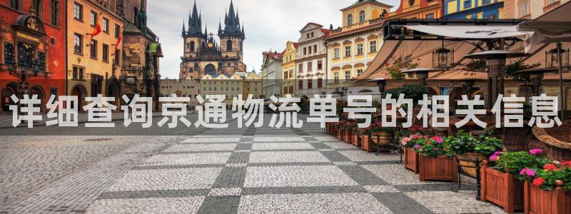 旺财28系统自动保护：详细查询京通物