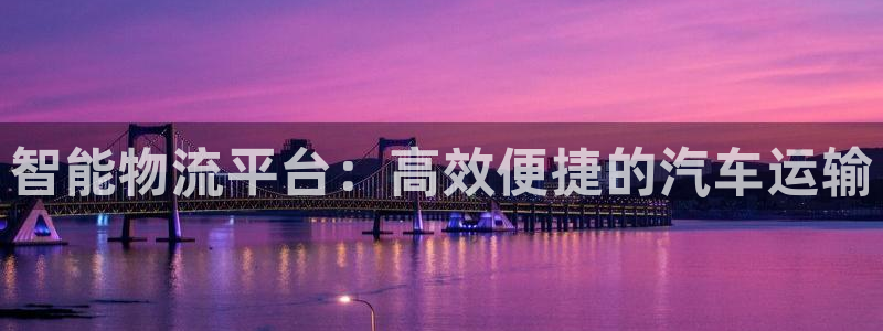 旺财28注册登录：智能物流平台：高效