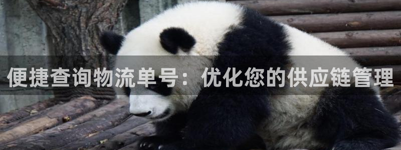 旺财28官网预测：便捷查询物流单号：
