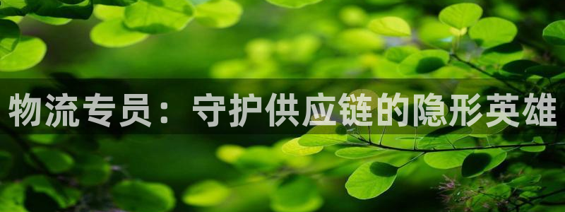 旺财28游戏：物流专员：守护供应链的