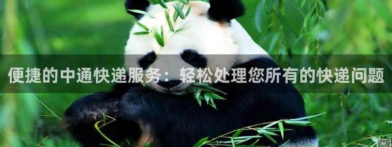 旺财28正规吗