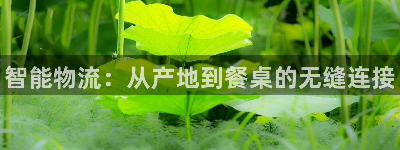 旺财28绿骨头：智能物流：从产地到餐