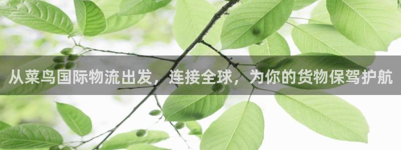 旺财28能退款吗：从菜鸟国际物流出发