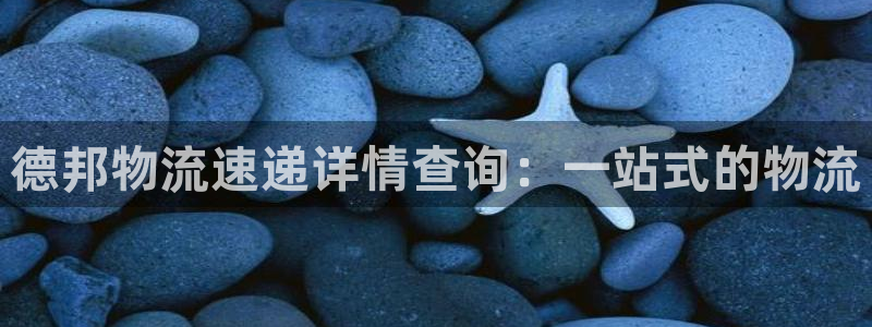 旺财28注册地址：德邦物流速递详情查