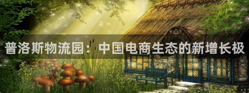 旺财28预测：普洛斯物流园：中国电商