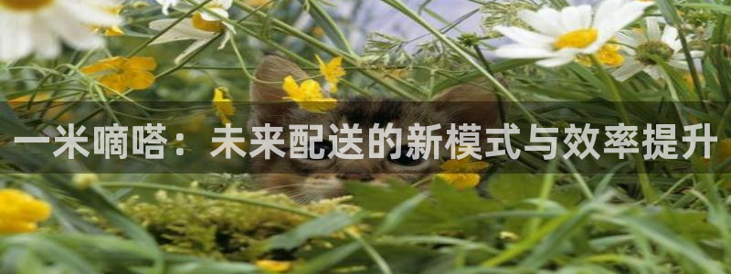 旺财28推广链接是多少个