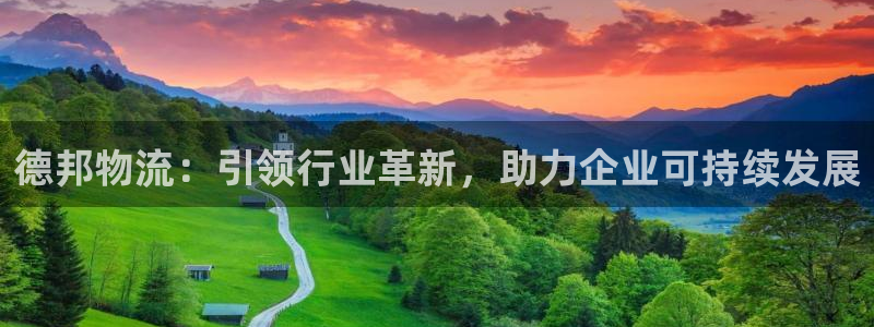 旺财28注册登录：德邦物流：引领行业革新，助力企业可持续发展