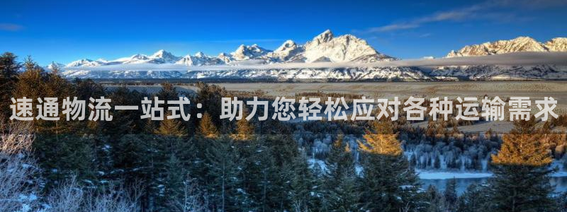 旺财28口内径是多大：速通物流一站式