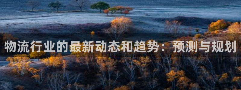 旺财28代理落网：物流行业的最新动态