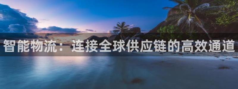 旺财28v6能卖多少：智能物流：连接