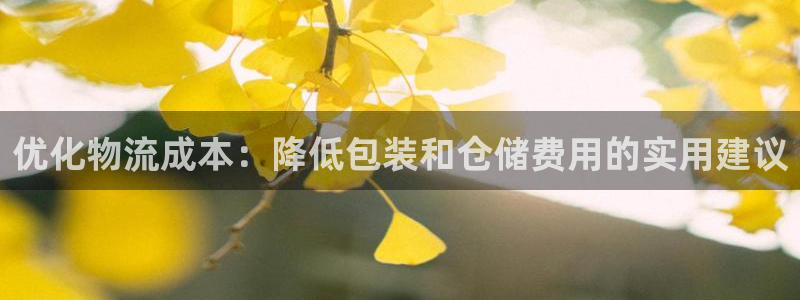 旺财28加拿大是什么:优化物流成本: