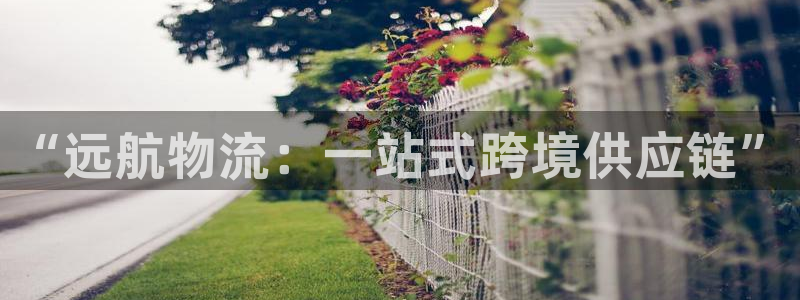 旺财28和南宫28什么关系:“远航物