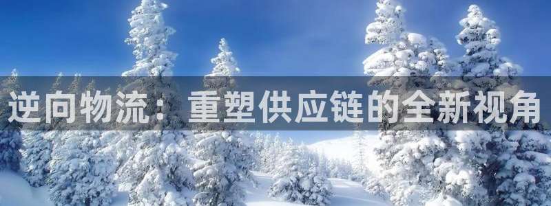 旺财28开奖预测:逆向物流:重塑供应