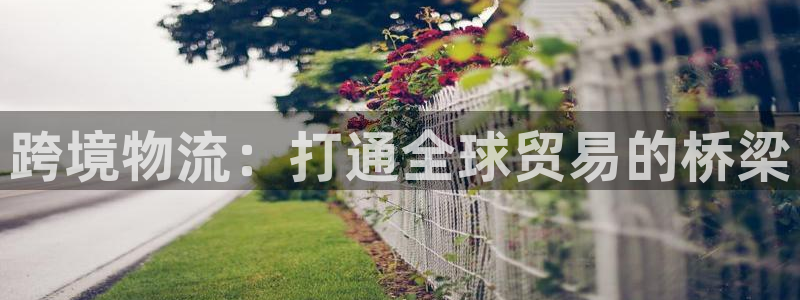旺财28起来的符号:跨境物流:打通全