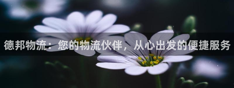 旺财28官网注册:德邦物流:您的物流