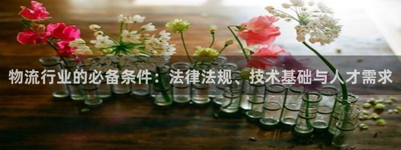 旺财28比特28真实吗:物流行业的必