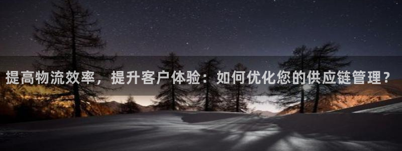 旺财28电子:提高物流效率,提升客户