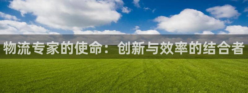 旺财28模拟器在线玩：物流专家的使命：创新与效率的结合者