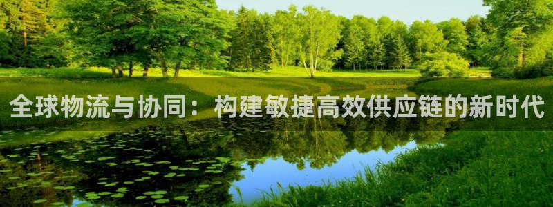 旺财28现在狂杀：全球物流与协同：构建敏捷高效供应链的新时代