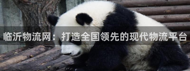 旺财28加拿大是什么意思:临沂物流网