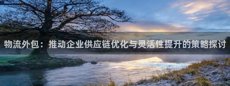 旺财28充值不到账怎么回事:物流外包