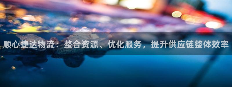 旺财28注册平台:顺心捷达物流:整合