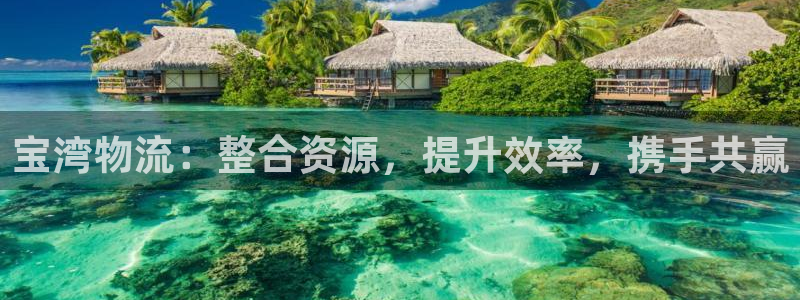 旺财28账号注册：宝湾物流：整合资源