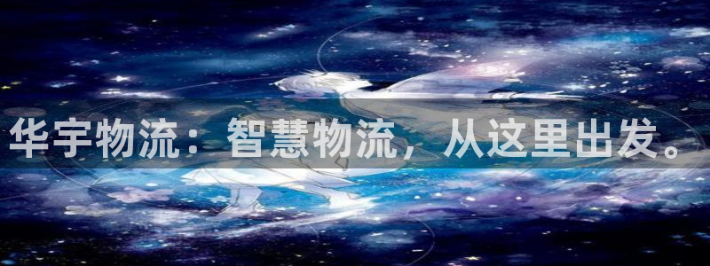 旺财28下载链接是多少：华宇物流：智