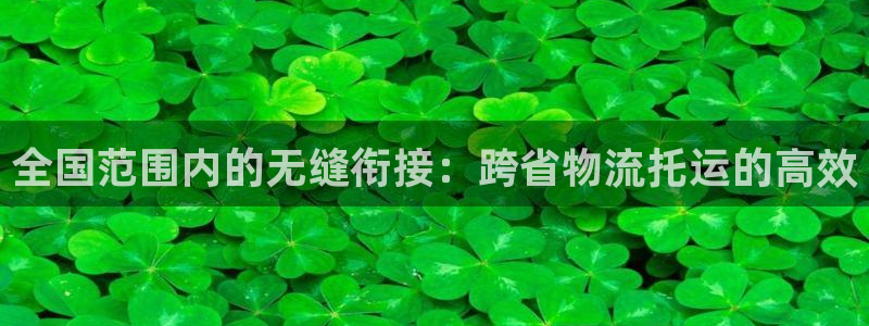 旺财28忘记账号：全国范围内的无缝衔