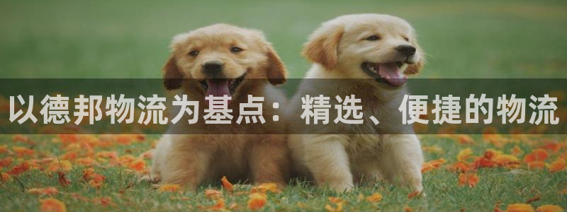 旺财28注册官网:以德邦物流为基点: