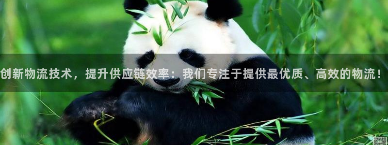旺财28注册入口与教程：创新物流技术