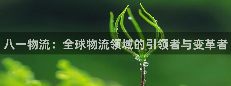 旺财28犯法吗：八一物流：全球物流领