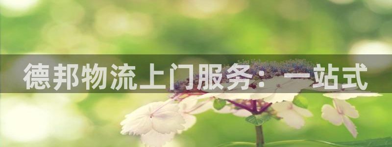 旺财28退款：德邦物流上门服务：一站