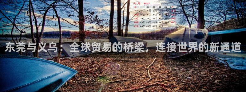 旺财28cn：东莞与义乌：全球贸易的